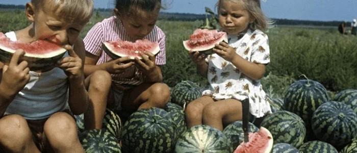 Из тени в свет: уроки жизни от успешного подпольного миллионера