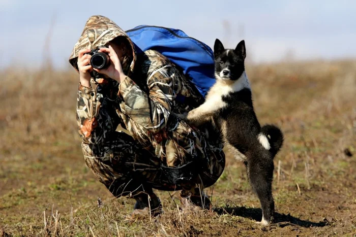 Маленькая героиня города: русско-европейская лайка, которая приносит радость и изменения в жизнь