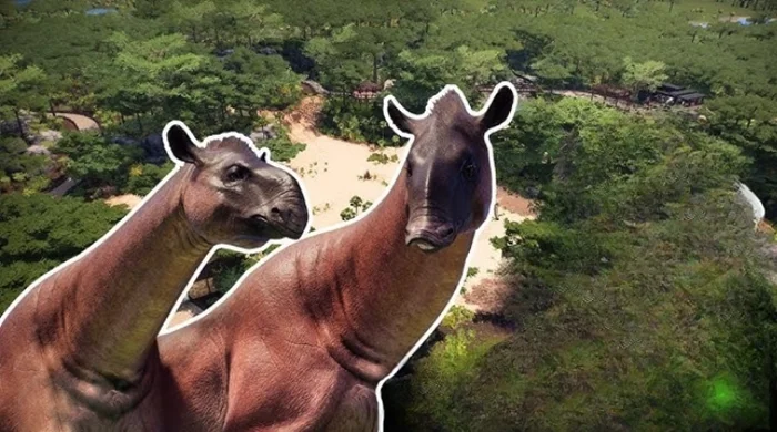 Эволюция необычной пары: Джуксия и её потомки, ставшие гигантскими индрикотериями