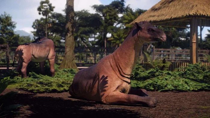 Эволюция необычной пары: Джуксия и её потомки, ставшие гигантскими индрикотериями