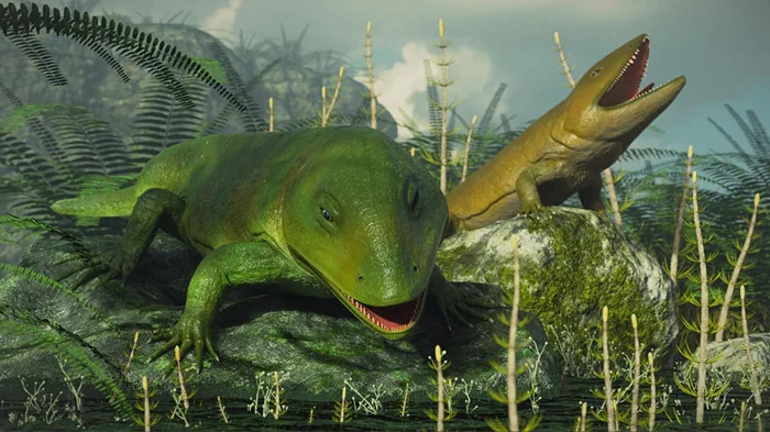 От рыбы к мясу: удивительная история Педерписа, первого четвероногого существа на Земле