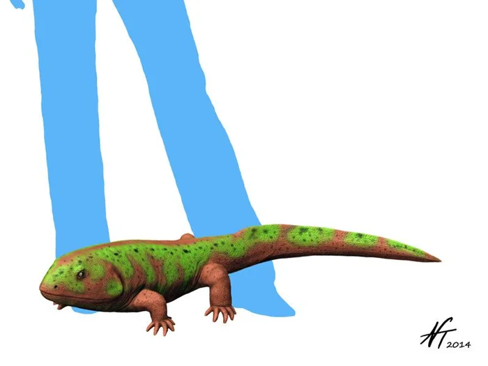 От рыбы к мясу: удивительная история Педерписа, первого четвероногого существа на Земле