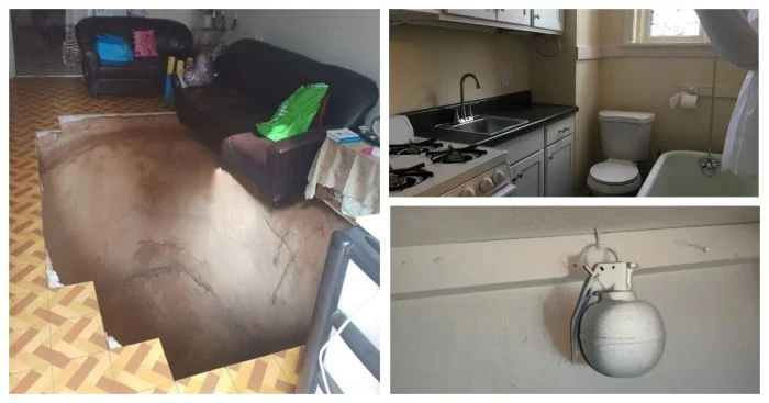 35 забавных снимков, сделанных жилищными инспекторами