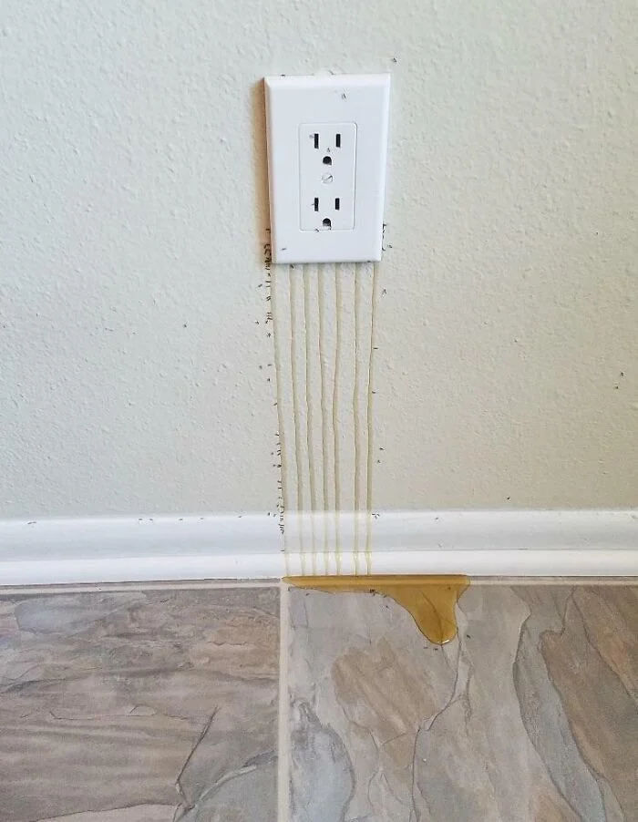 35 забавных снимков, сделанных жилищными инспекторами