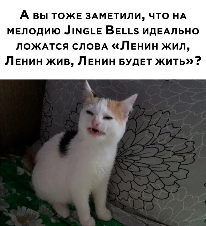 Скрины из соцсетей (07.12.23)