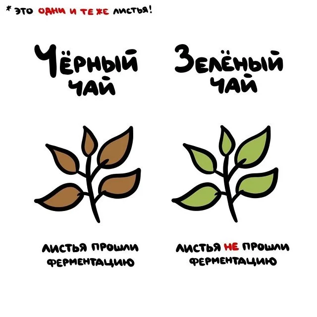 Не путайте: забавные советы и подсказки