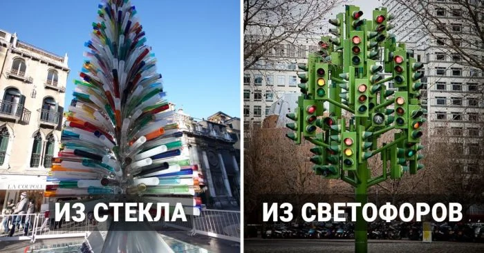 Необычные елки: 15 удивительных экземпляров, найденных в различных уголках планеты