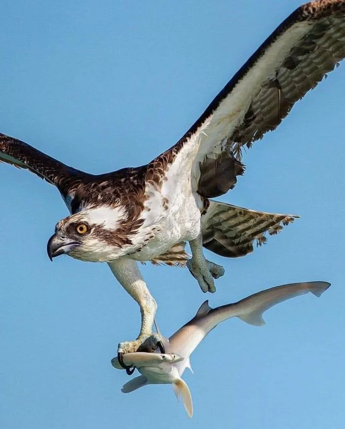 На общую тему (13.12.23)