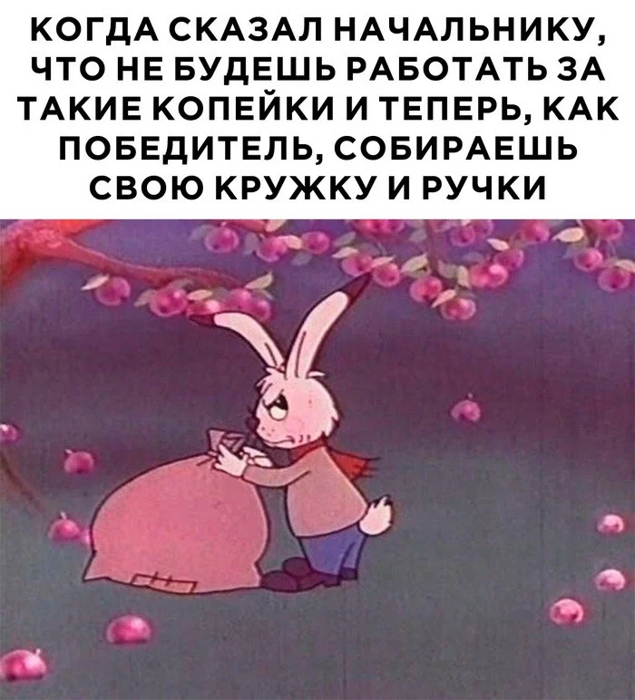 Скрины из соцсетей (13.12.23)