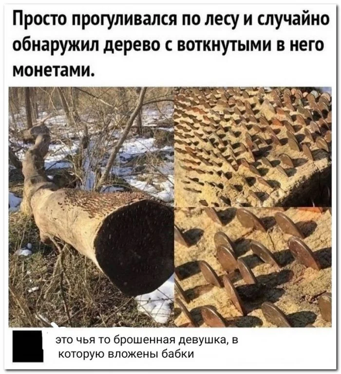 Скрины из соцсетей (13.12.23)