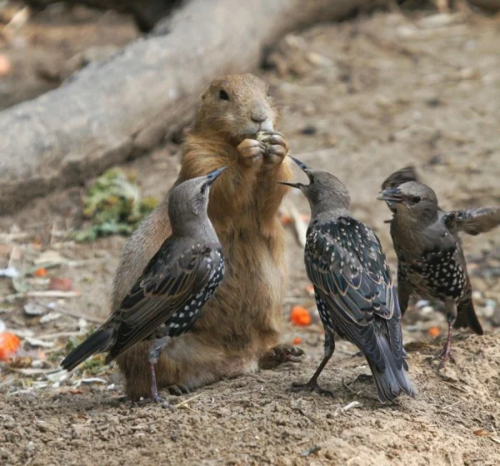Всё вразнобой (15.12.23)