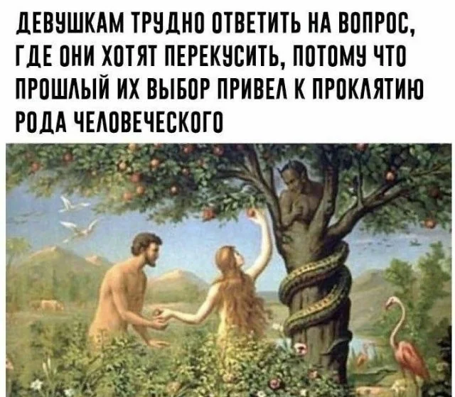 Скрины из соцсетей (15.12.23)