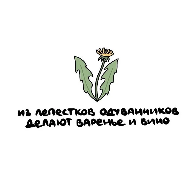 Удивительные факты, которые пригодятся в любой ситуации