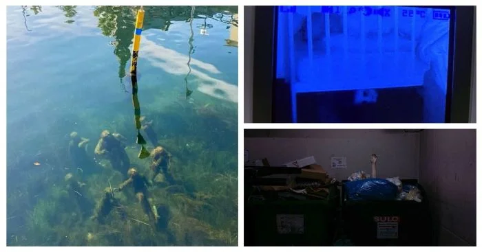 40+ моментов, ужаснувших до мурашек