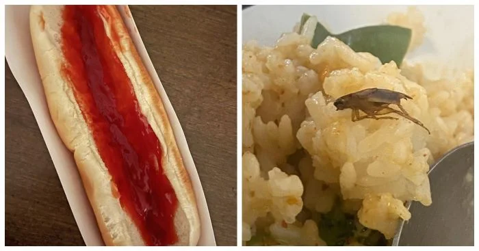 Неудачи на кухне: истории 15 человек, которые мечтали пообедать, но что-то пошло не так