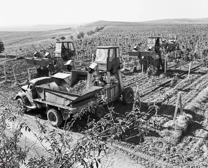 Увлекательные снимки из эпохи СССР