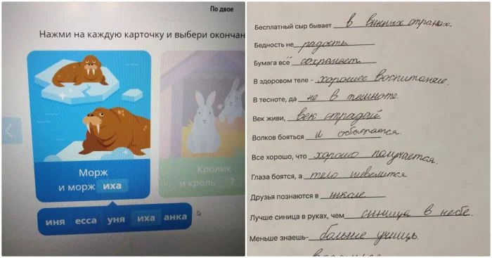 Загадки образования: школьные задания, ставящие родителей в тупик и вызывающие недоумение