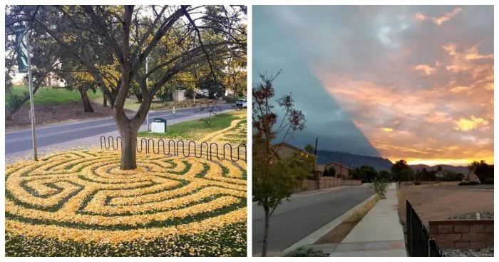 17 впечатляющих доказательств, переигрывающих любой фотошоп