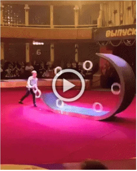 Просто гифки (15.12.23)