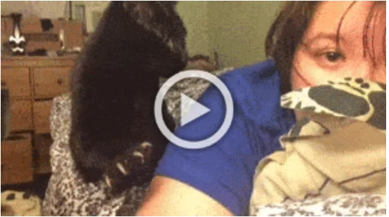 Просто гифки (19.12.23)