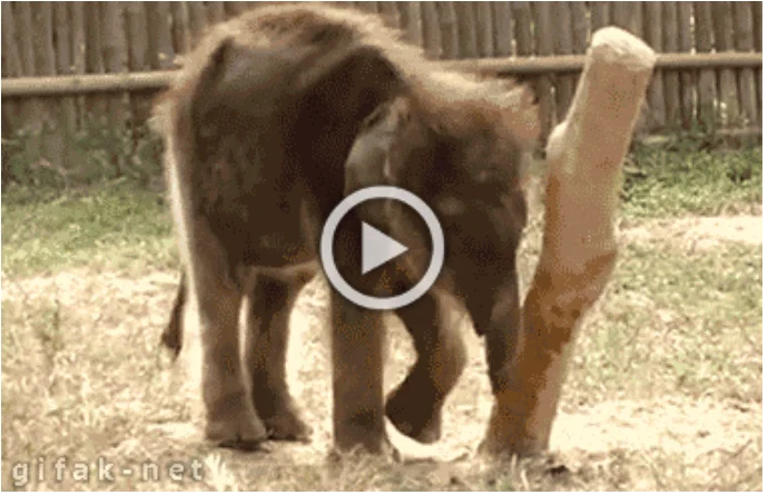 Просто гифки (22.12.23)