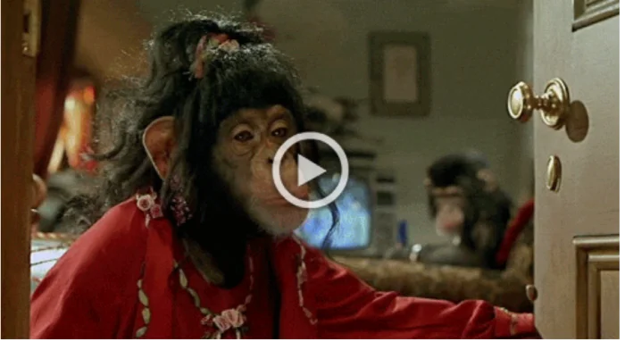 Просто гифки (29.12.23)