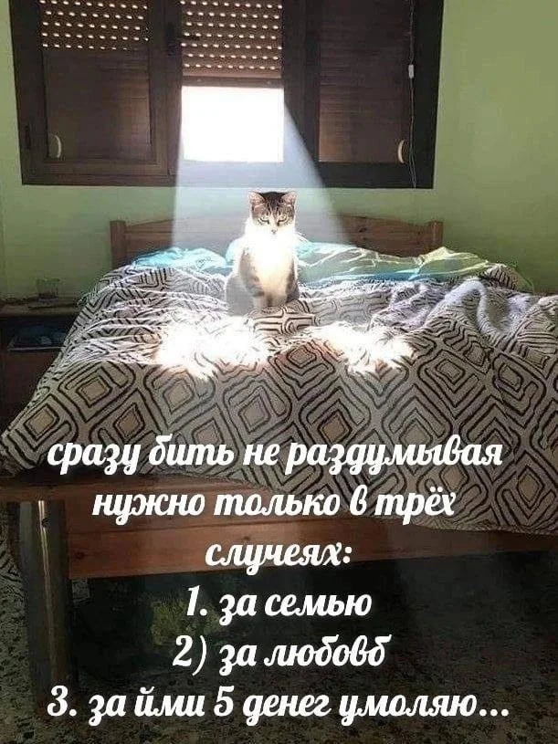 Нестандартный юмор :)