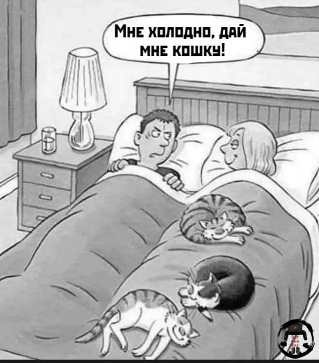 Так себе картинки (15.01.24)