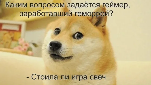 Деградация (17.01.24)