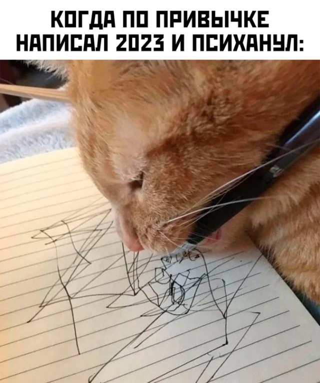 Весёлые (12.01.24)