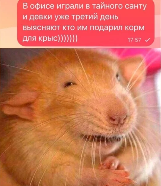 Забавные картинки (16.01.24)