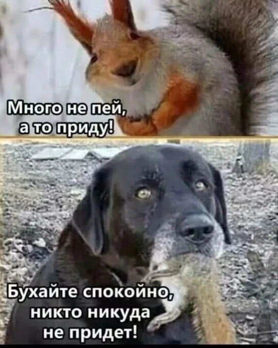 Деградация (18.01.24)