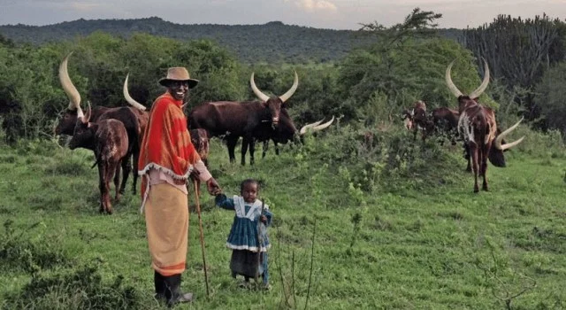 Предсвадебное странствие: особенности традиции у племени Баньянколе