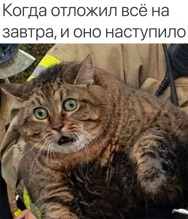 Под приколом