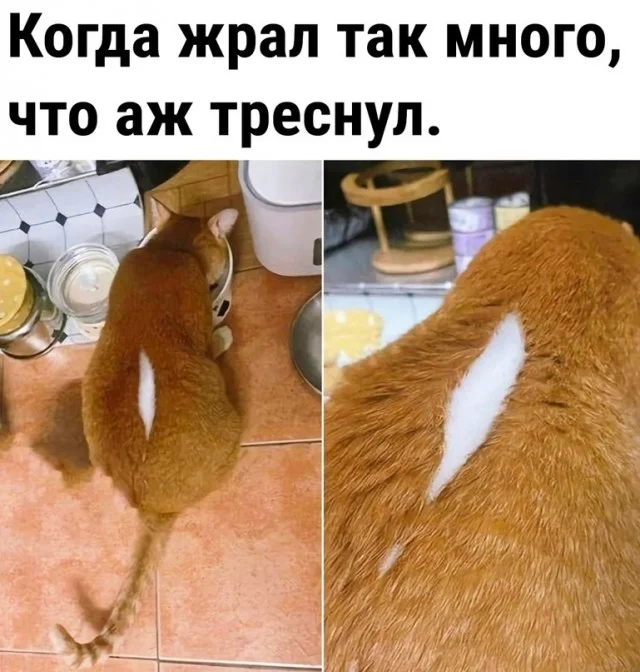 Так себе картинки