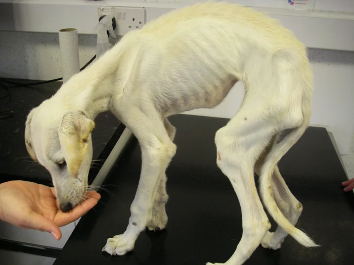 Жизнь и смерть..