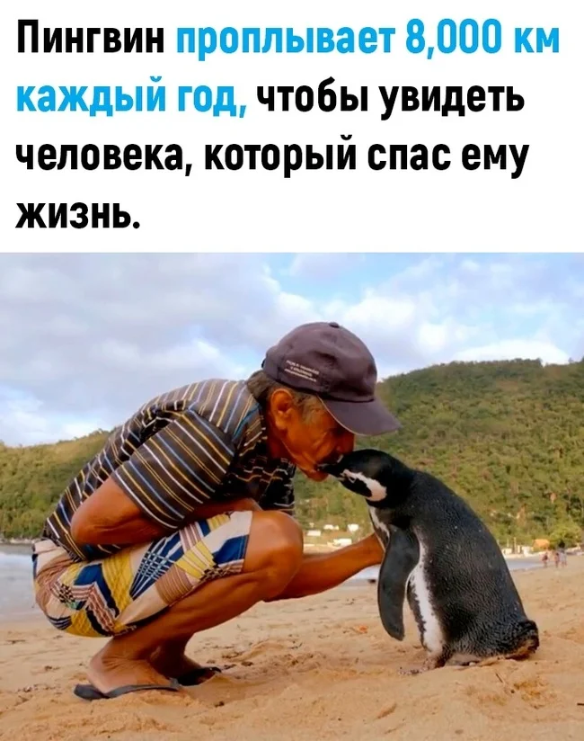 Благодарный