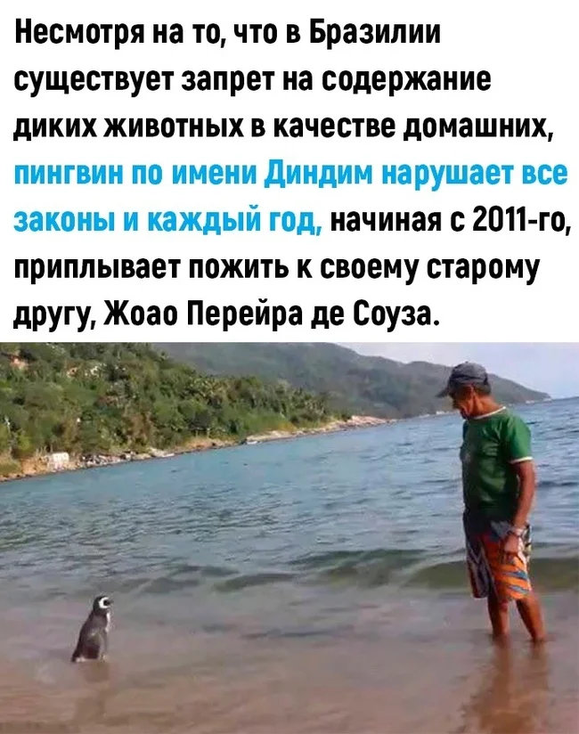 Благодарный