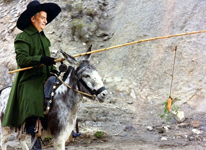 По следам морковки: анализ забавной сцены с ослом на верёвочке в фильмах и мультиках