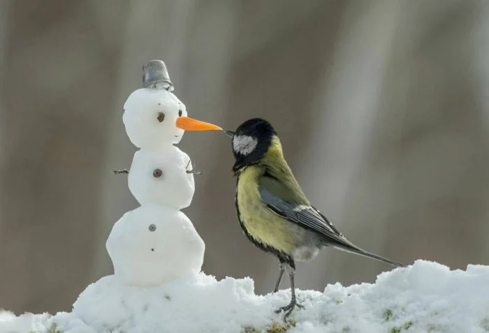 Всё вразнобой (11.01.24)