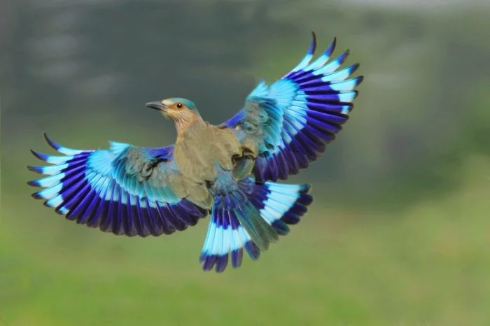 На общую тему (14.01.24)