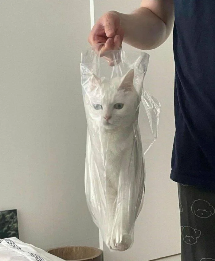 Всё вразнобой (12.01.24)