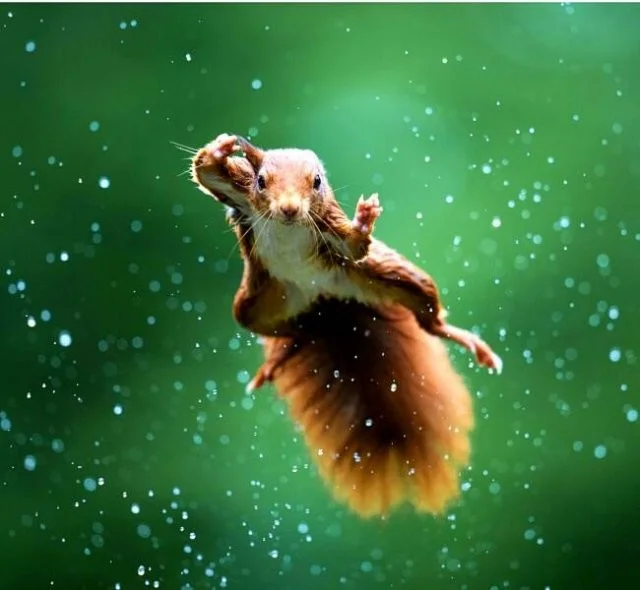 Намешалось