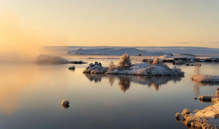 Фотографии с дикой природой