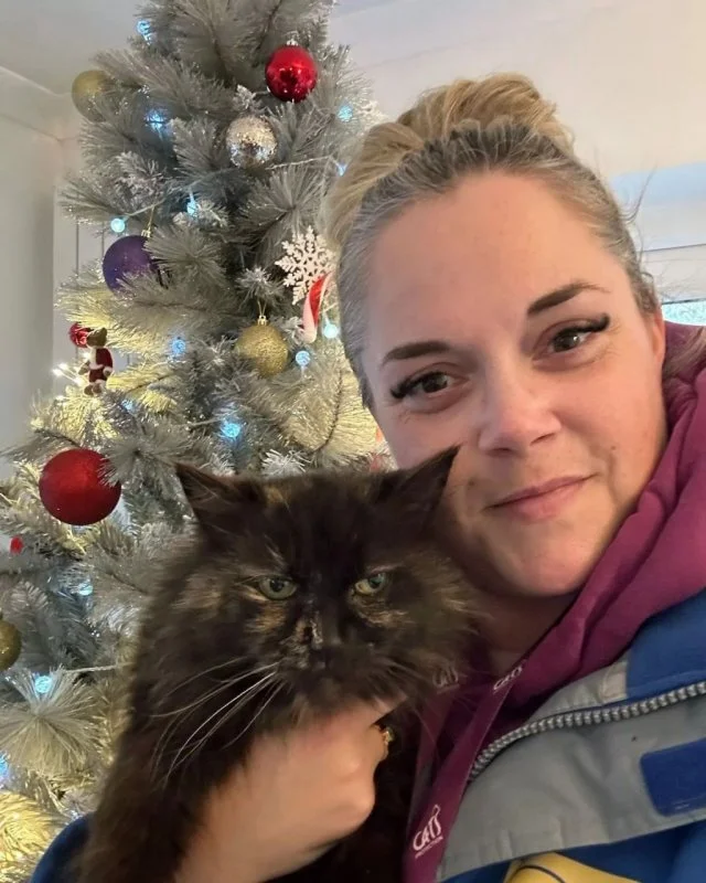 История кошки, вернувшейся к своим хозяевам спустя 9 лет