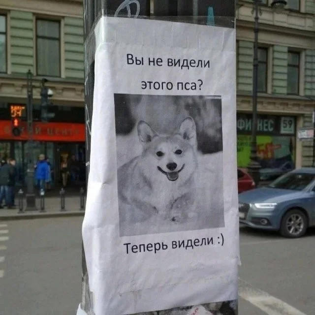 Скрины из соцсетей (19.01.24)