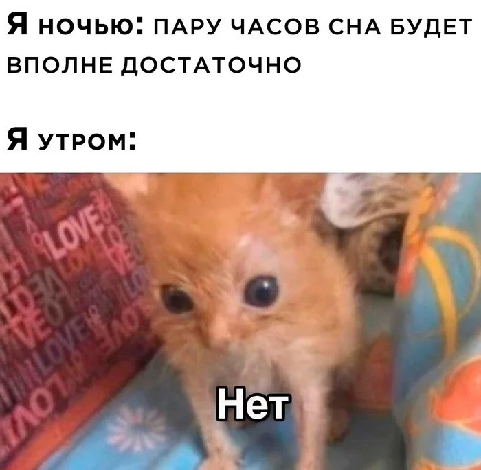 Скрины из соцсетей (19.01.24)