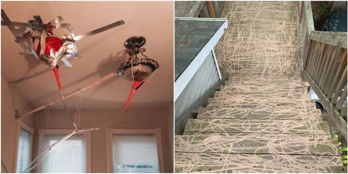 Неожиданные "подарки" арендодателей: 25 сюрпризов, вызвавших недовольство жильцов