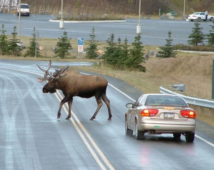 На общую тему (17.01.24)