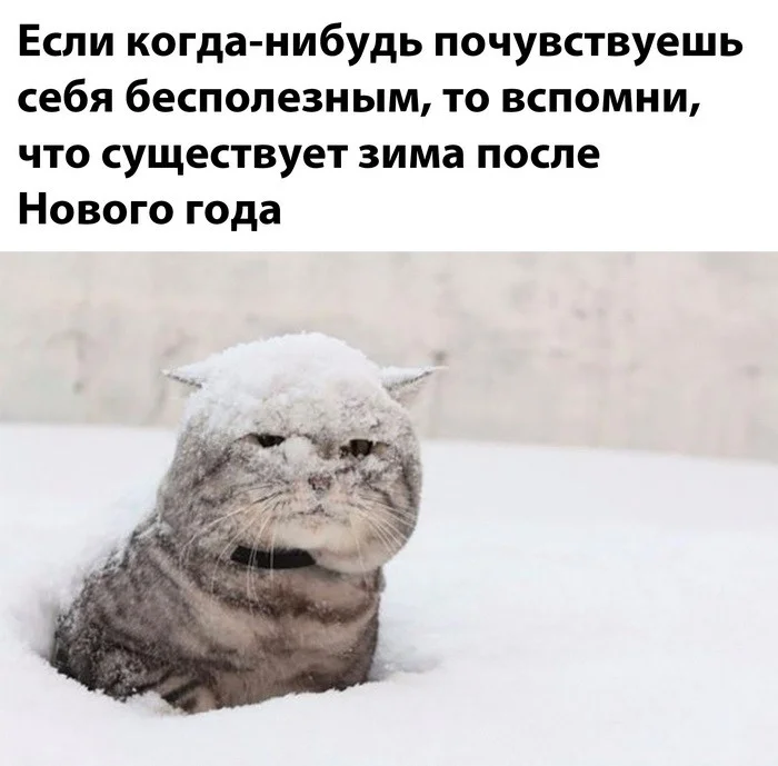 Скрины из соцсетей